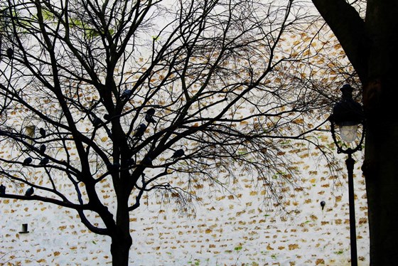 IN LOVE WITH PARIS: P.A.R.I.S.